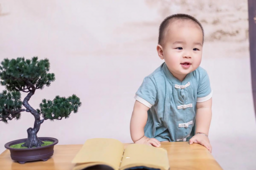 南阳可爱的企鹅宝宝